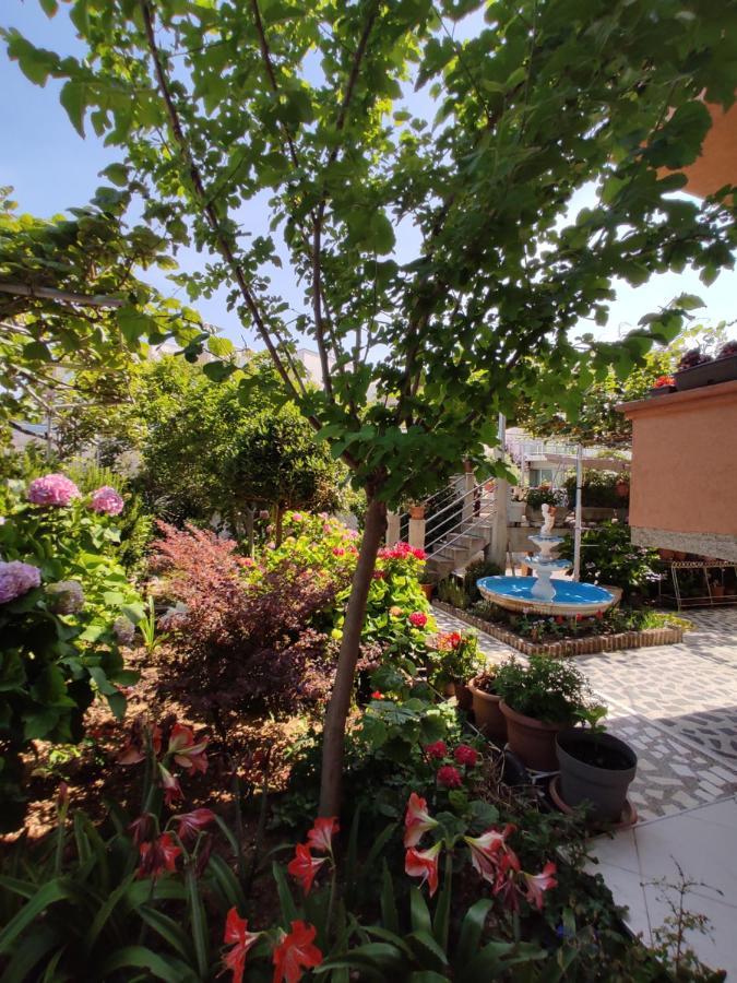 Apartments Baja Ulcinj Esterno foto